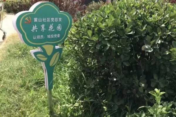 城投集团党委联合共建单位开展志愿服务活动9.png